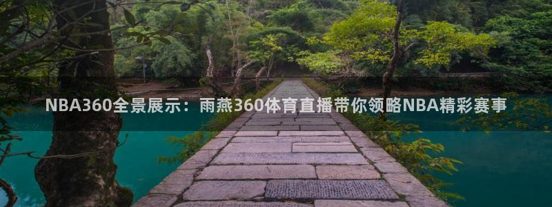 NBA360全景展示：雨燕360体育直播带你领略NBA精彩赛事